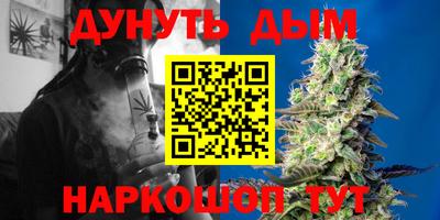 амф Новодвинск
