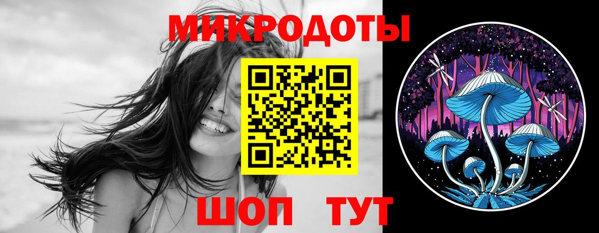 Псилоцибиновые грибы мицелий Чехов