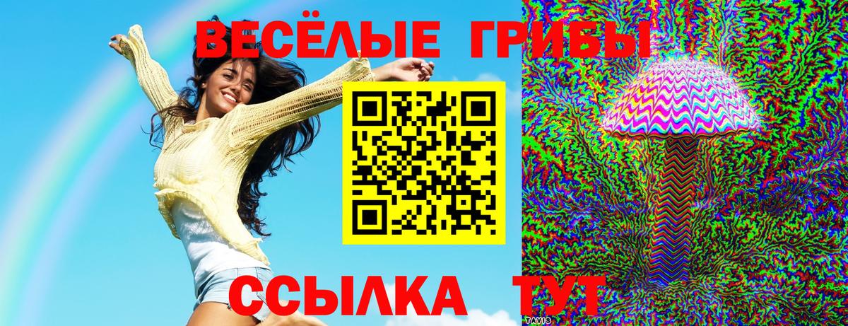 купить закладку  Вход с VPN  Чехов  Псилоцибиновые грибы MAGIC MUSHROOMS 