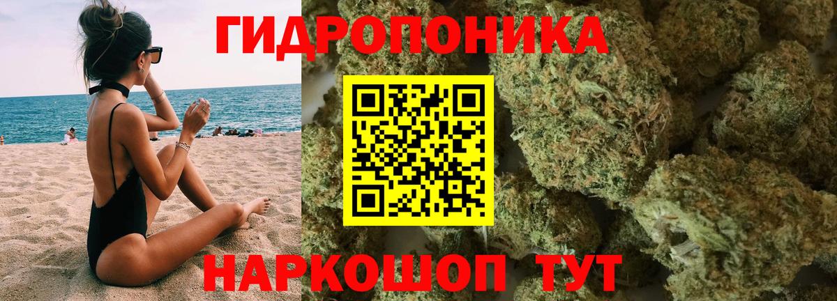 Конопля план Чехов